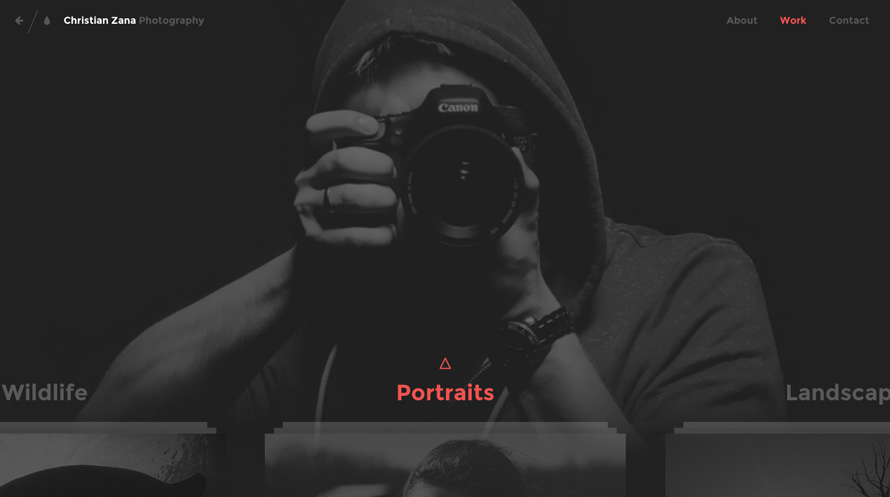 摄影图片网站模板-1